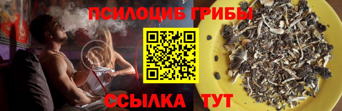 Псилоцибиновые грибы GOLDEN TEACHER  Вход с VPN  цены наркотик  Королёв 