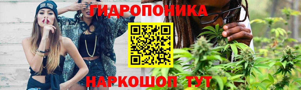 Бошки марихуана марихуана Королёв